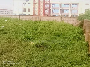 J v L a N D at Near Wuye