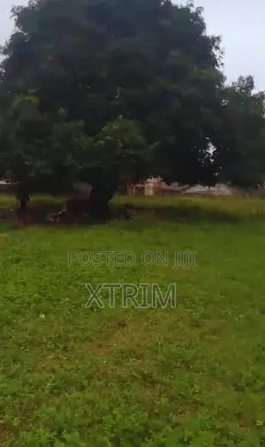 Investment Opportunity in Ikeja