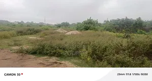 A Plot of Land