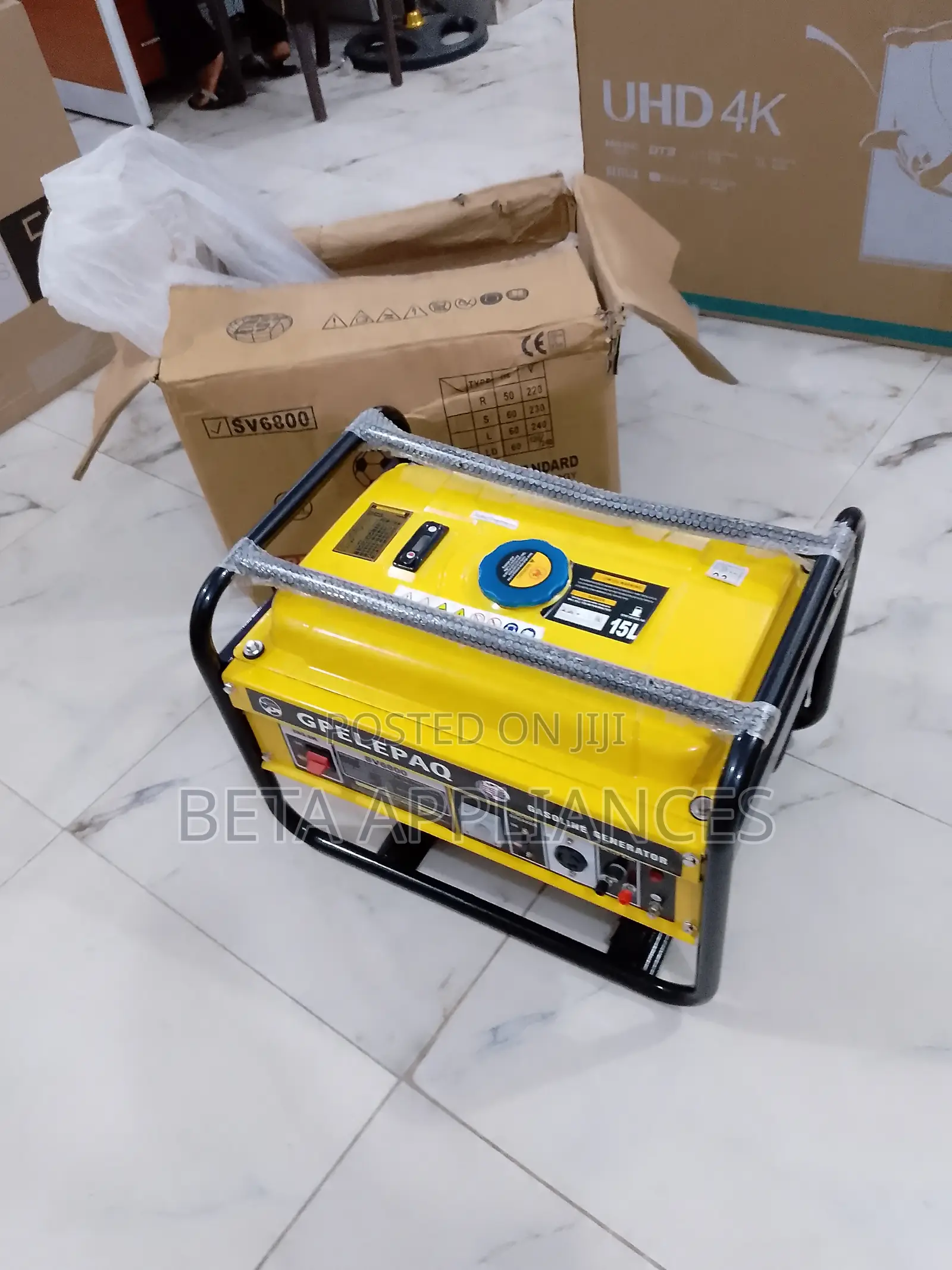 Elepaq Sv6800 Generator Setup Manual