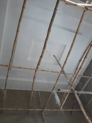 Perfect Ceiling Finish With Polystyrene Pop Designs