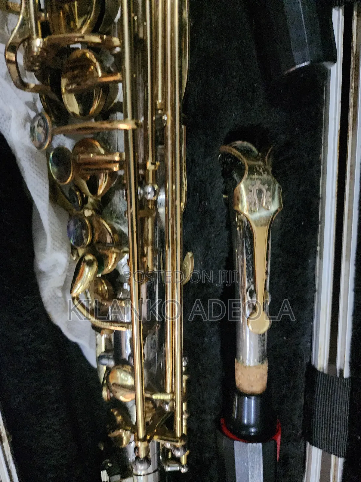 Professional Alto Sax