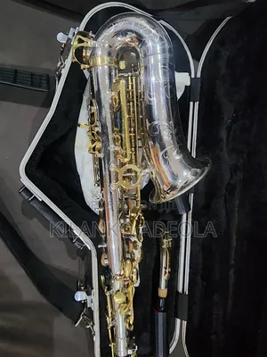 Professional Alto Sax