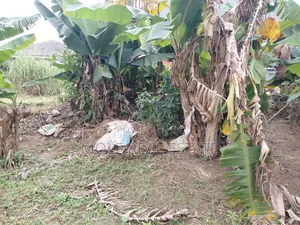 800sqm Plot With a Warehouse Mass Burial Okeafar Isolo Ejigbo Rd