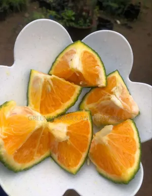 Kings Orange