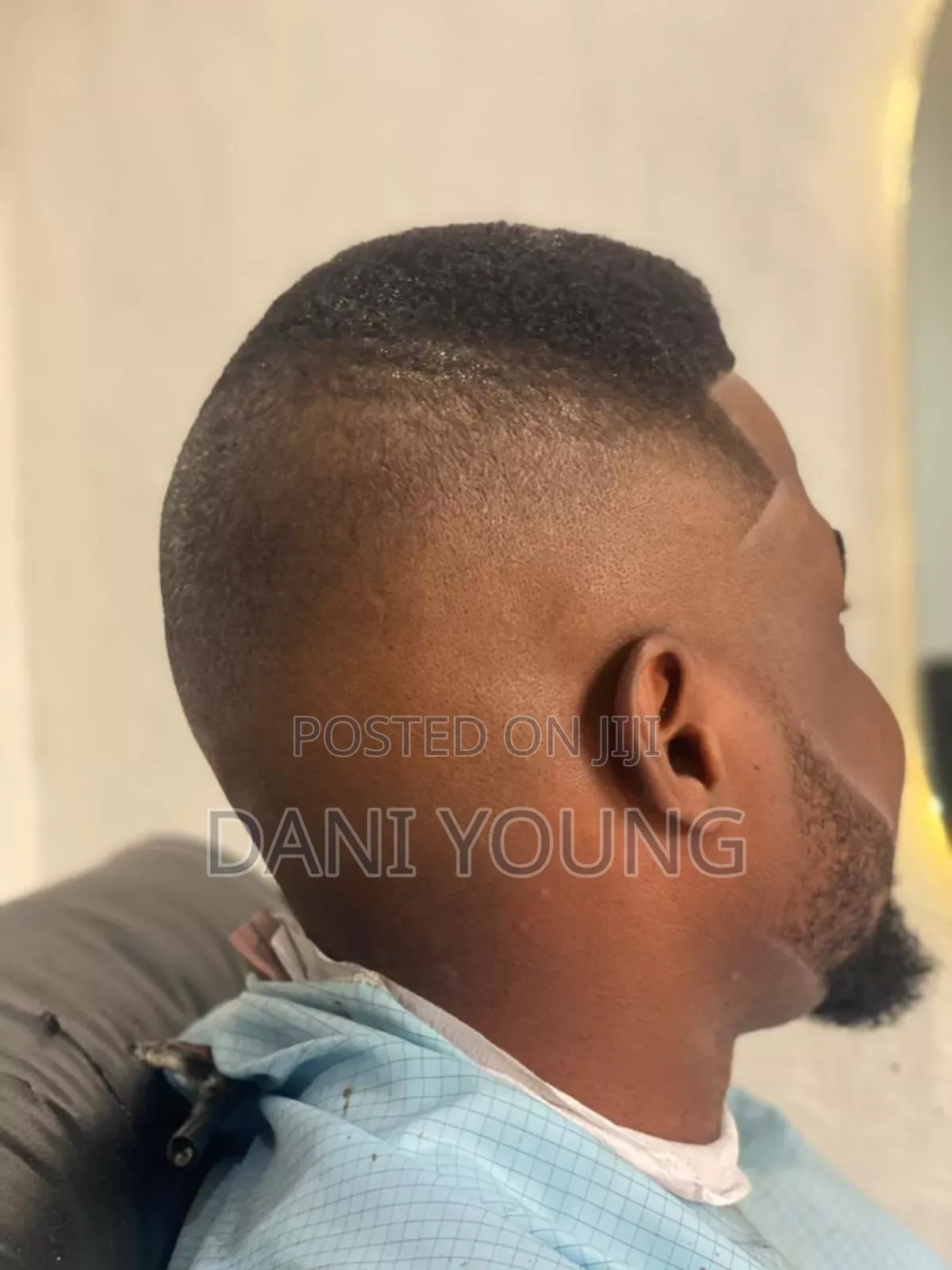 Professional Barber