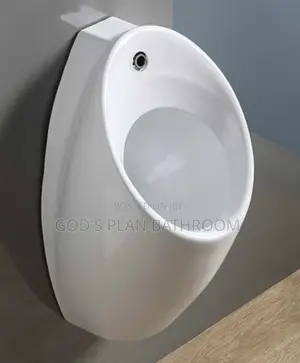 Ideal Standard Urinary