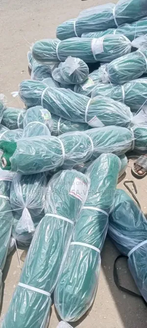 Scaffolding Net