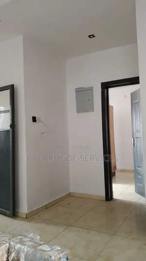 Professional House Painter and Screeder