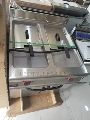 Industrial Standing Fryer