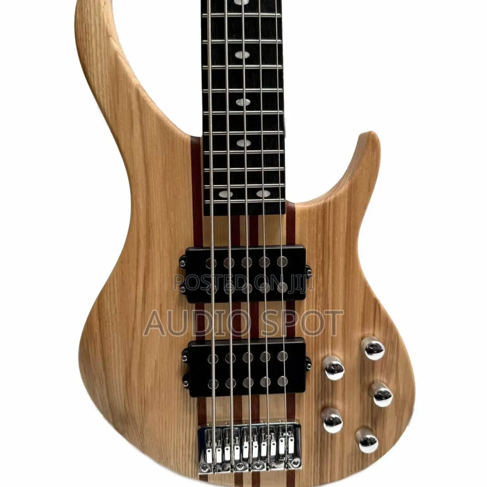 Magna Professional Active 5 Strings Bass Guitar
