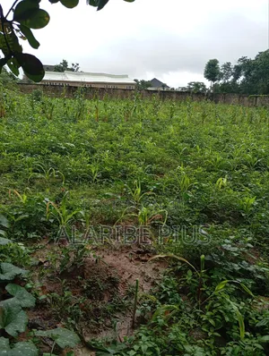 3,126 SQM of Commercial Land 4 Sale at Area 11 Garki 2 Abuja, Nigeria.