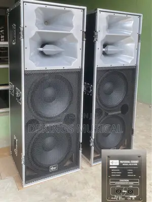 Ariz Sound As915hb 5000 Watts Professional Loudspeaker