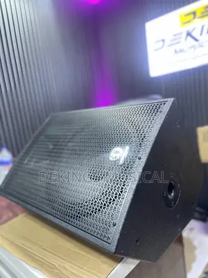 Standard Japan Sd-115m Stage Floor Monitor Speaker