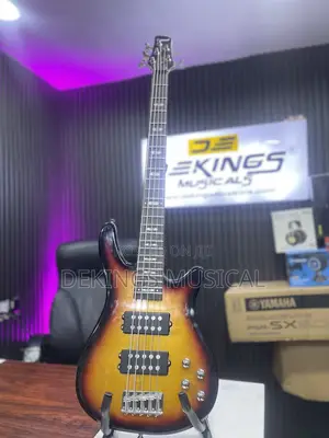 Wellsound Passive 5 Strings Bass Guitar