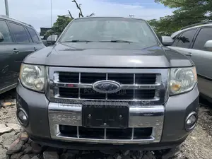 Ford Escape Limited 2010 Gray