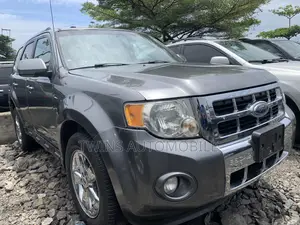 Ford Escape Limited 2010 Gray