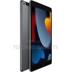 Apple iPad mini 5 256 GB Gray