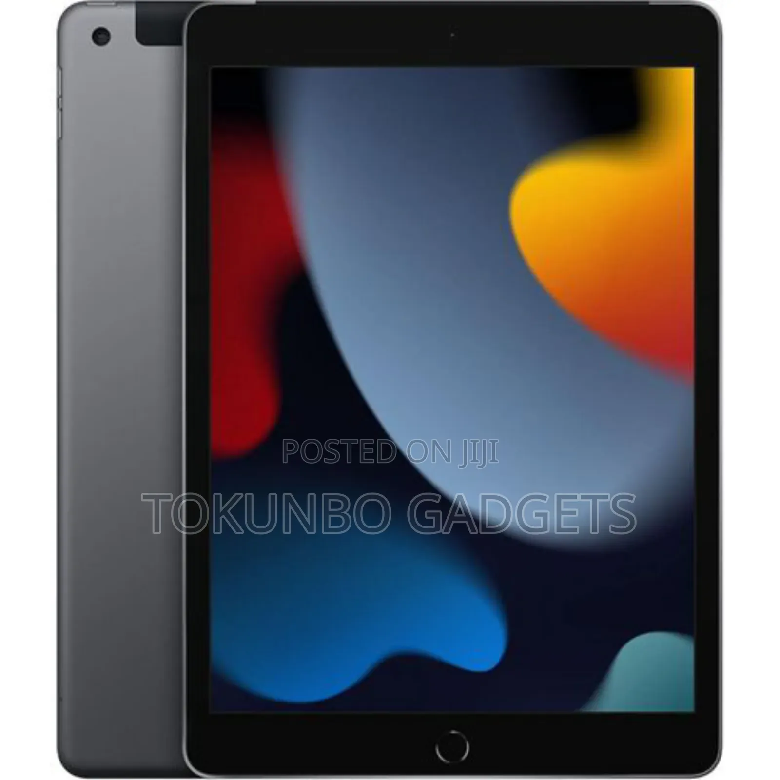 Apple iPad mini 5 256 GB Gray