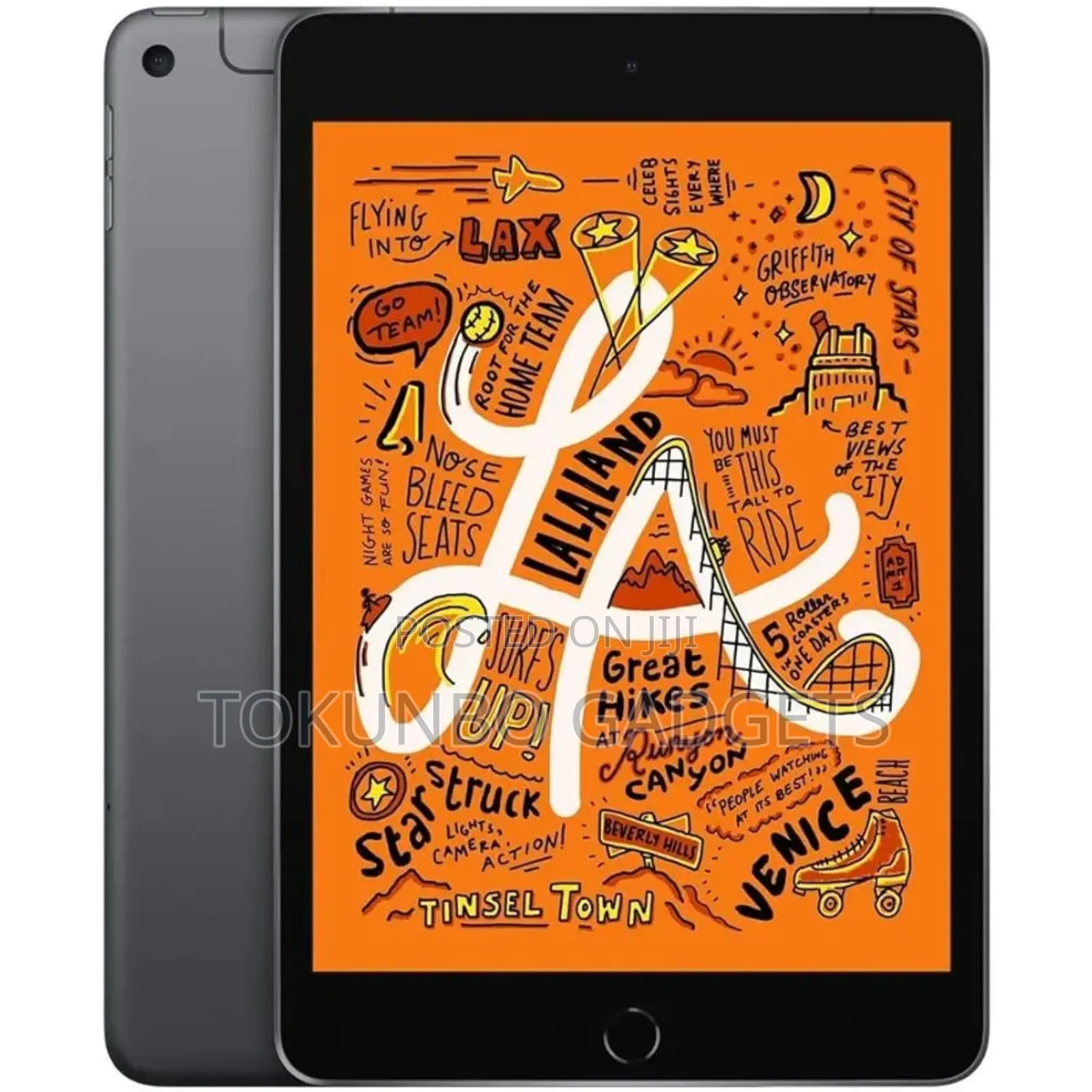 Apple iPad mini 5 256 GB Gray