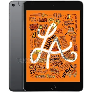 Apple iPad mini 5 256 GB Gray