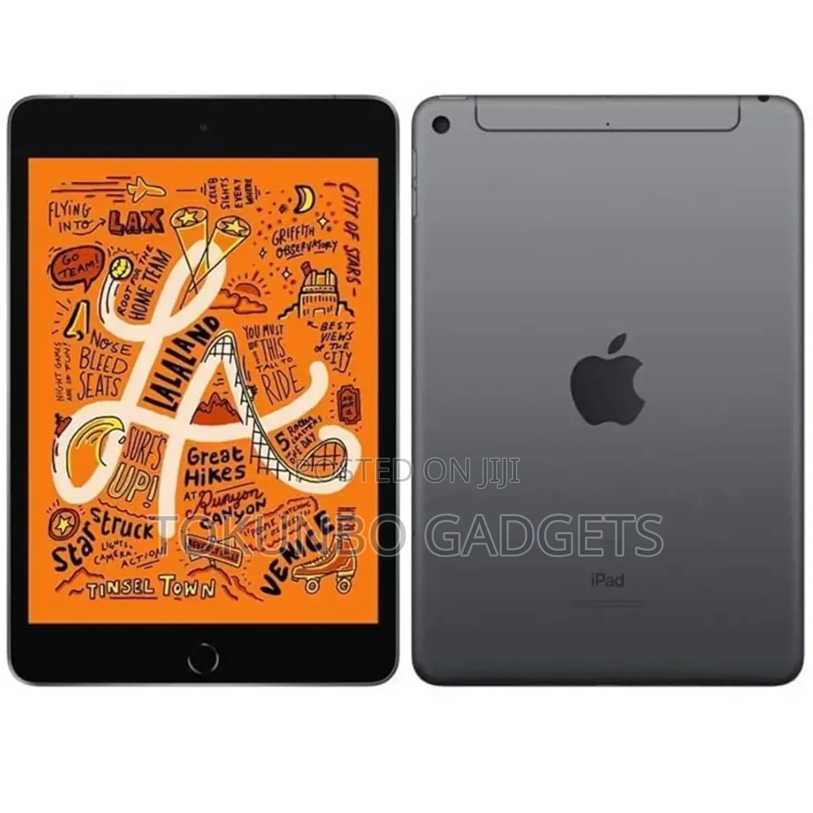 Apple iPad mini 5 256 GB Gray