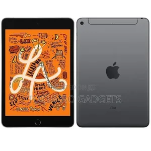 Apple iPad mini 5 256 GB Gray