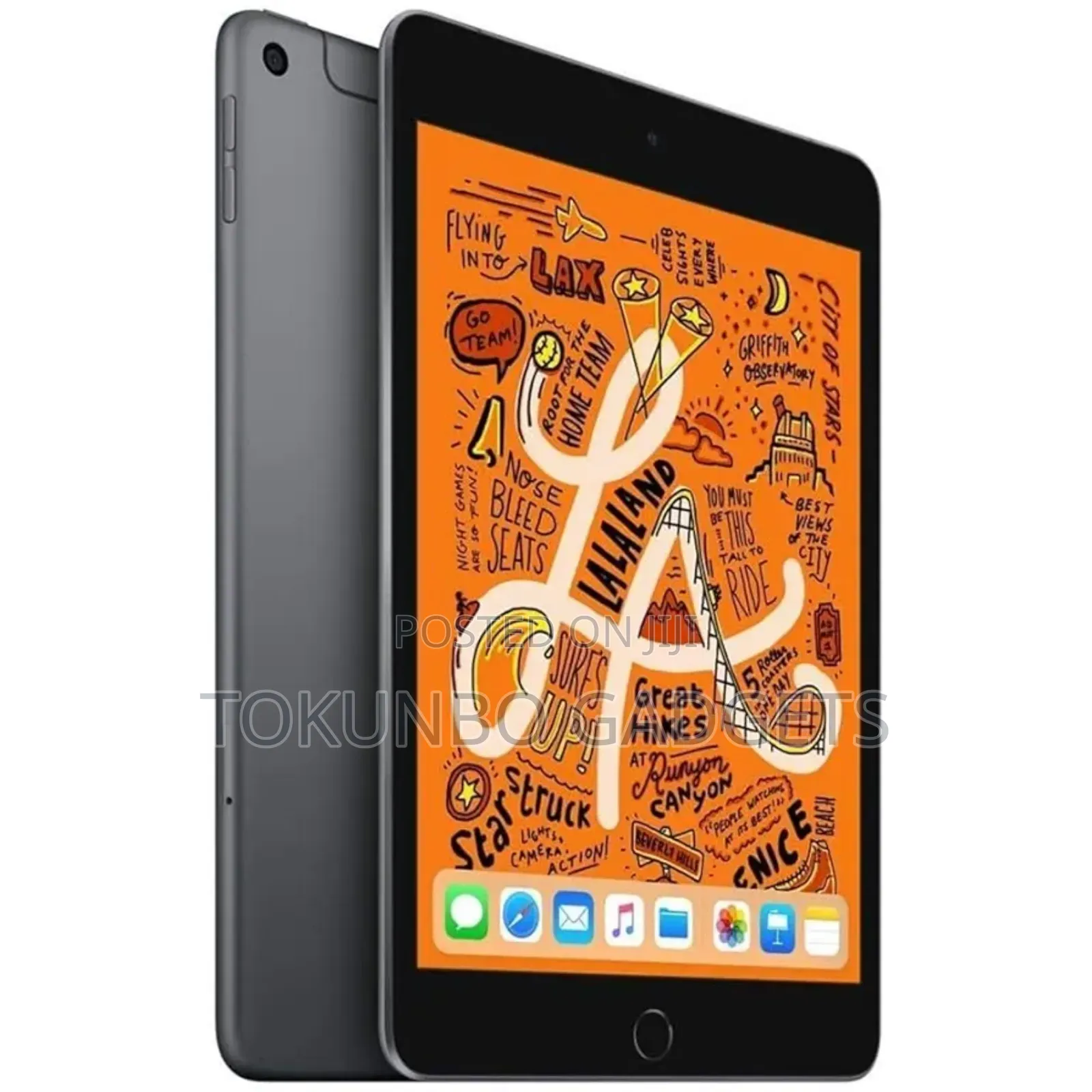 Apple iPad mini 5 256 GB Gray