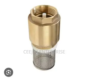 1" Brass Foot Valve