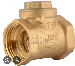 1" Brass Non Return Valve