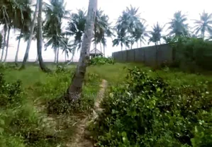 For Sale! 25 Acres (150 Plots) Ocean Front Land At Ibeju Lekki, Lagos.
