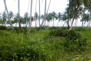 For Sale! 25 Acres (150 Plots) Ocean Front Land At Ibeju Lekki, Lagos.
