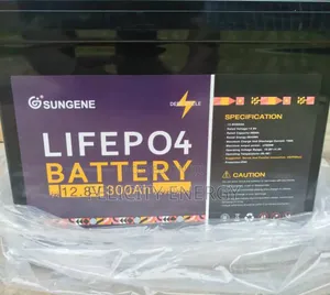 Sungene Lithium Battery 300amps 12v