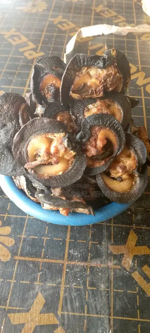 Dried Snail