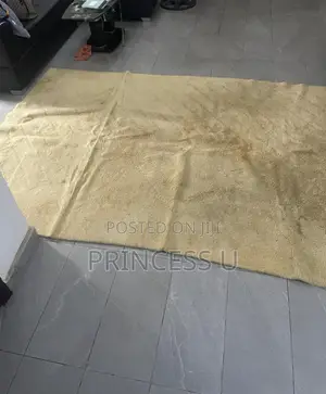 Used Big Rug for Sale