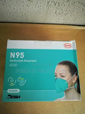 N95 Face Mask