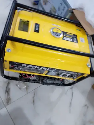 Senwei Sv62000e2 Generator for Business Use