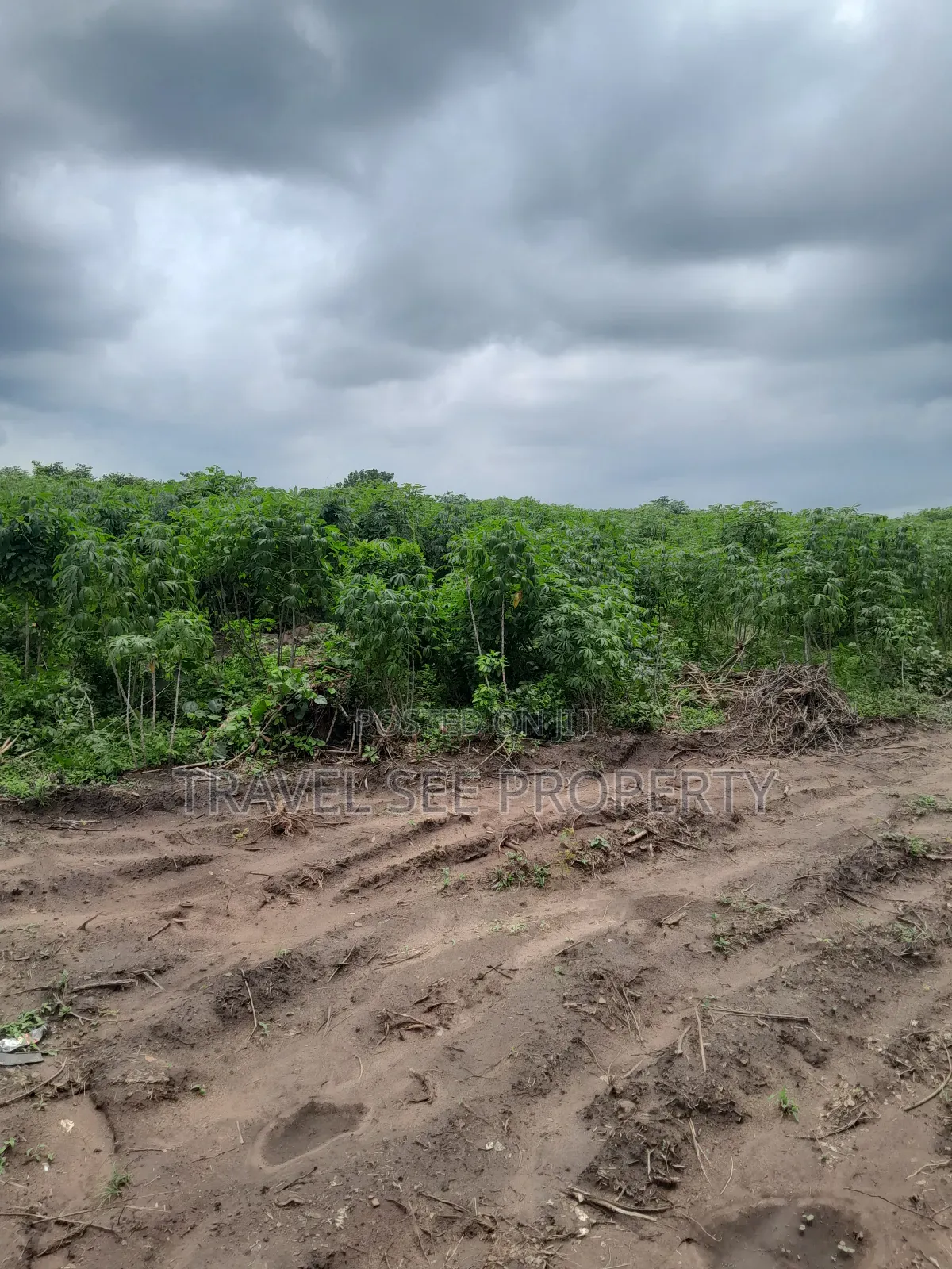 Land's Survey Epe Ijebu Ode Express Ways