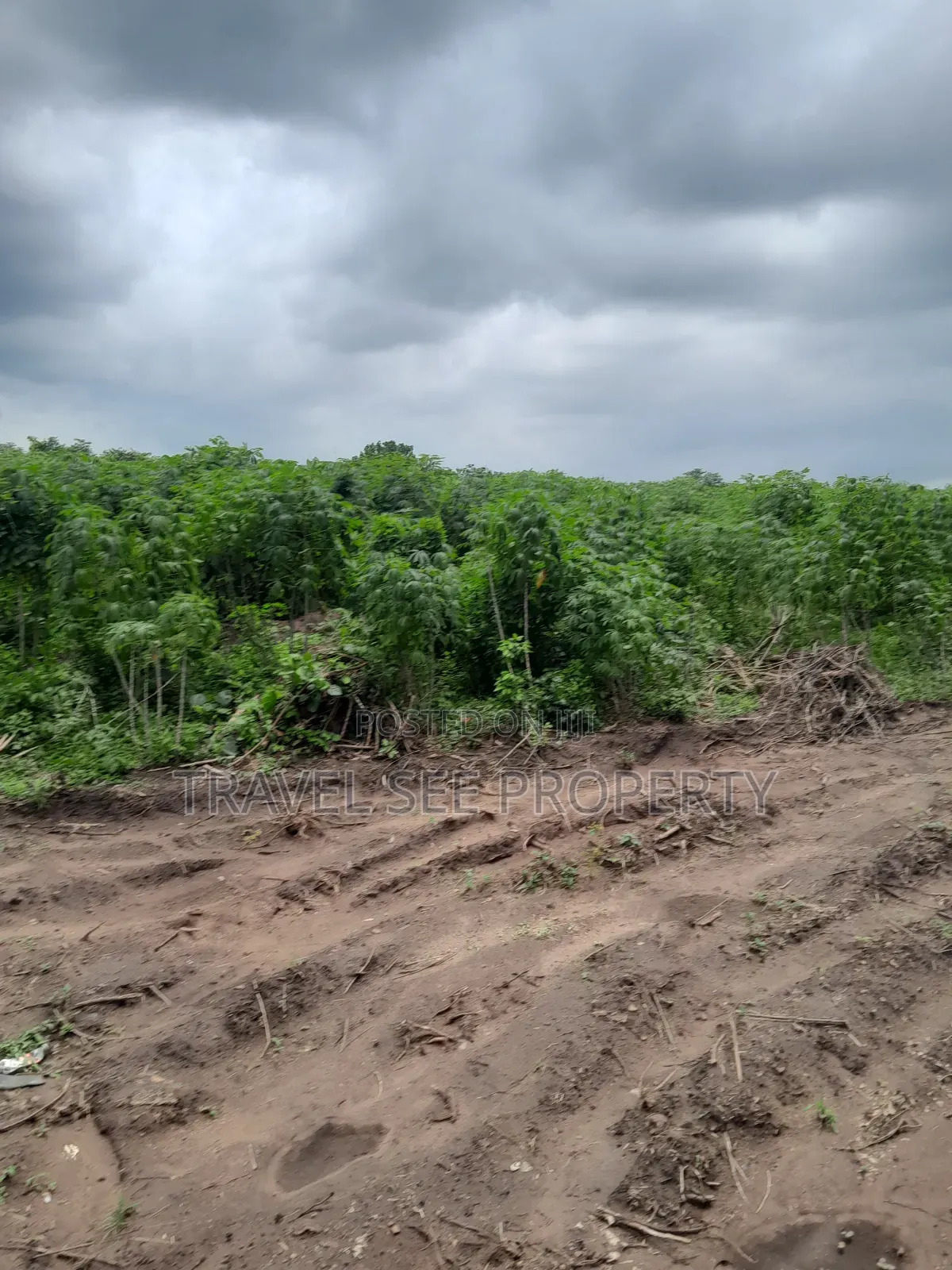 Land's Survey Epe Ijebu Ode Express Ways