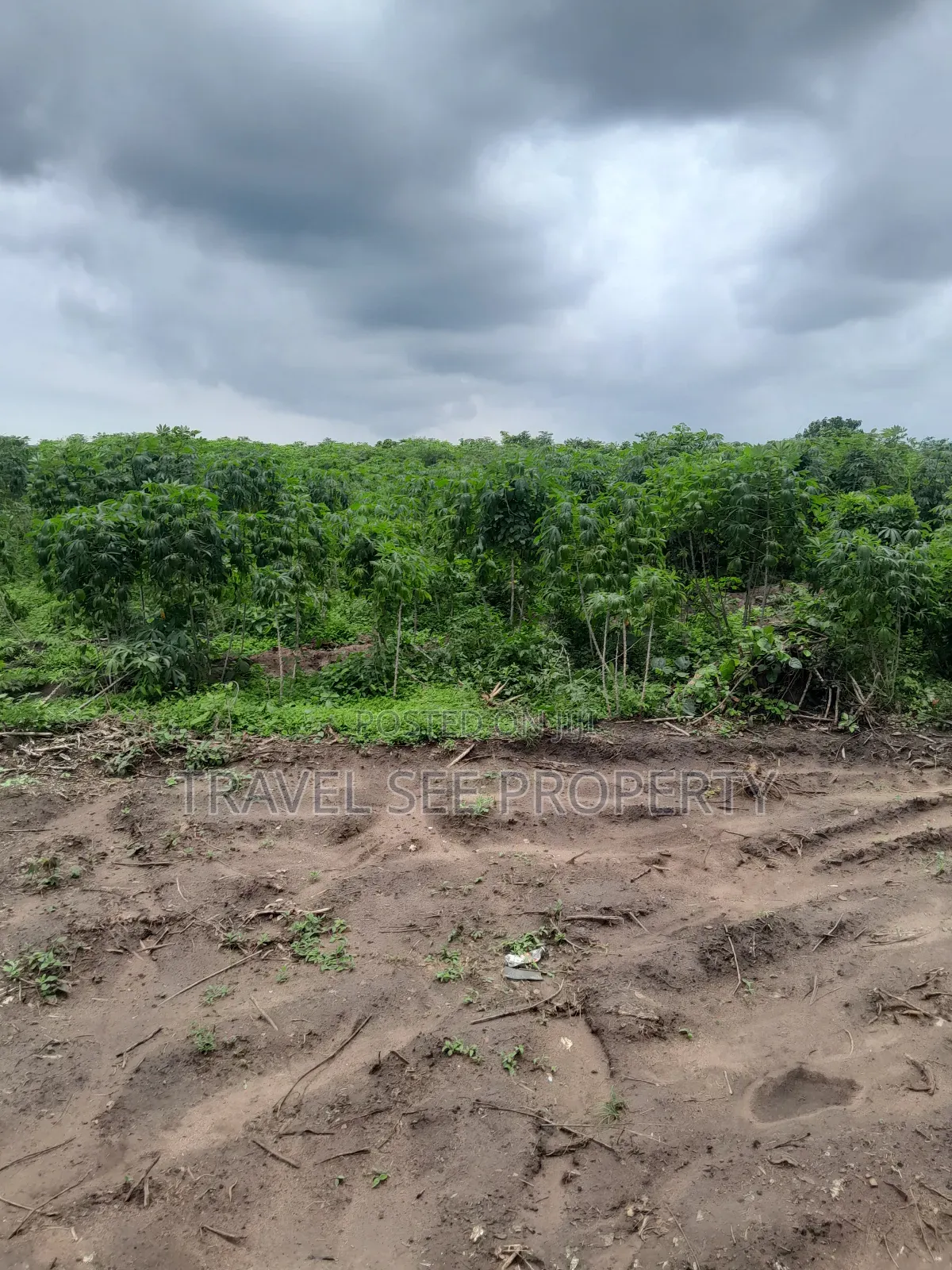 Land's Survey Epe Ijebu Ode Express Ways