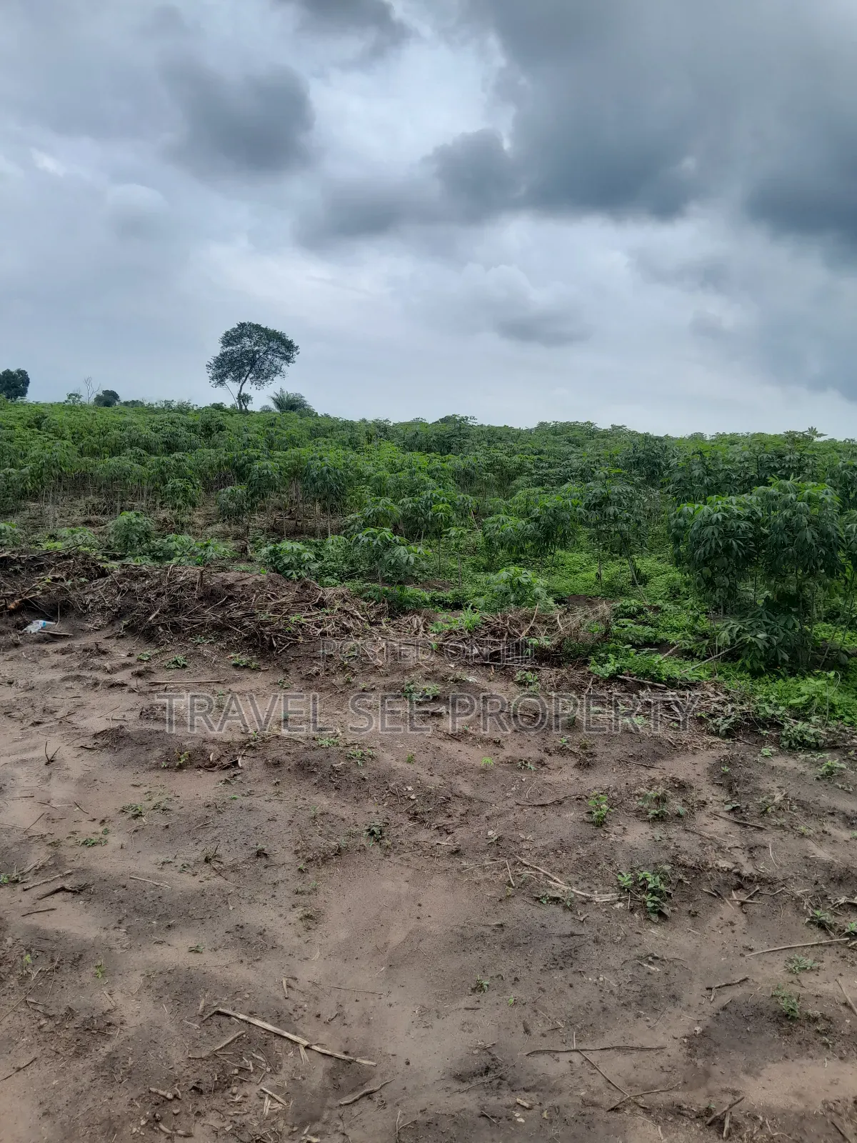 Land's Survey Epe Ijebu Ode Express Ways