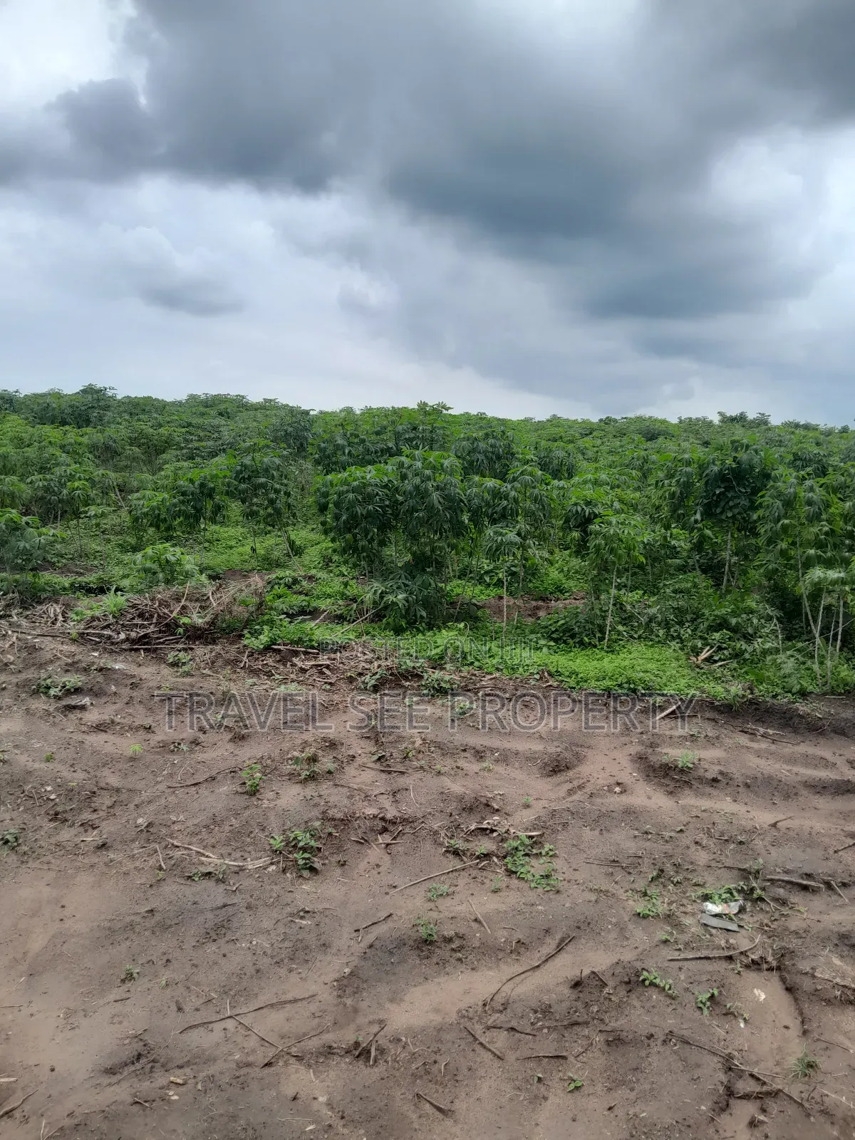 Land's Survey Epe Ijebu Ode Express Ways
