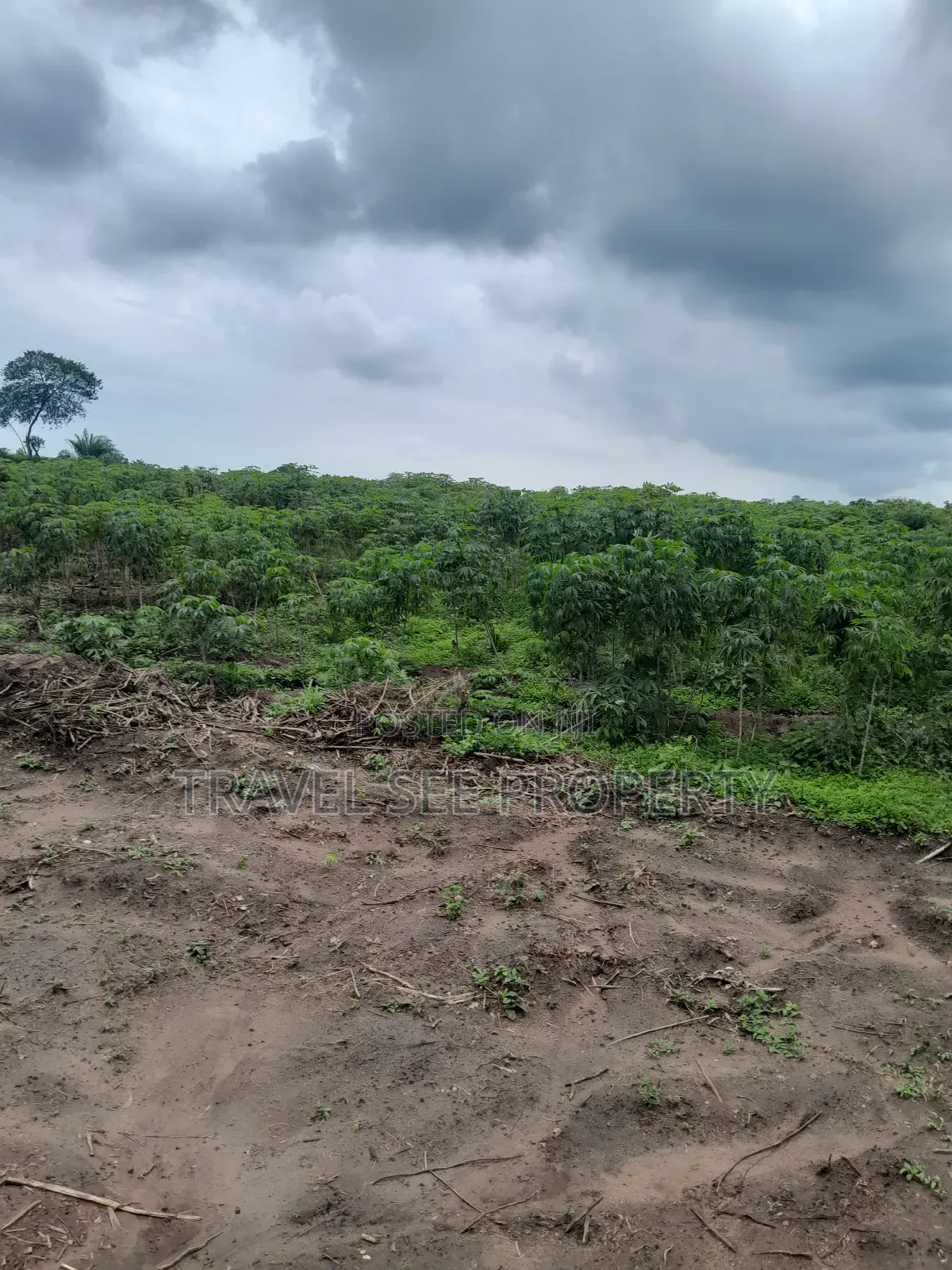 Land's Survey Epe Ijebu Ode Express Ways