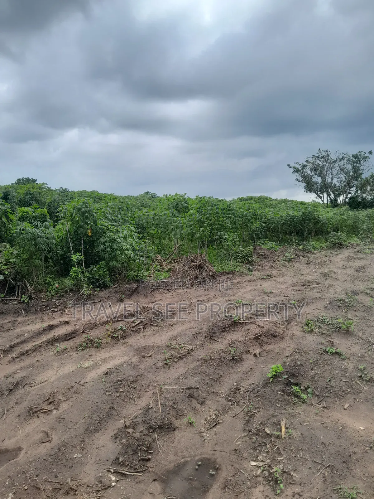 Land's Survey Epe Ijebu Ode Express Ways
