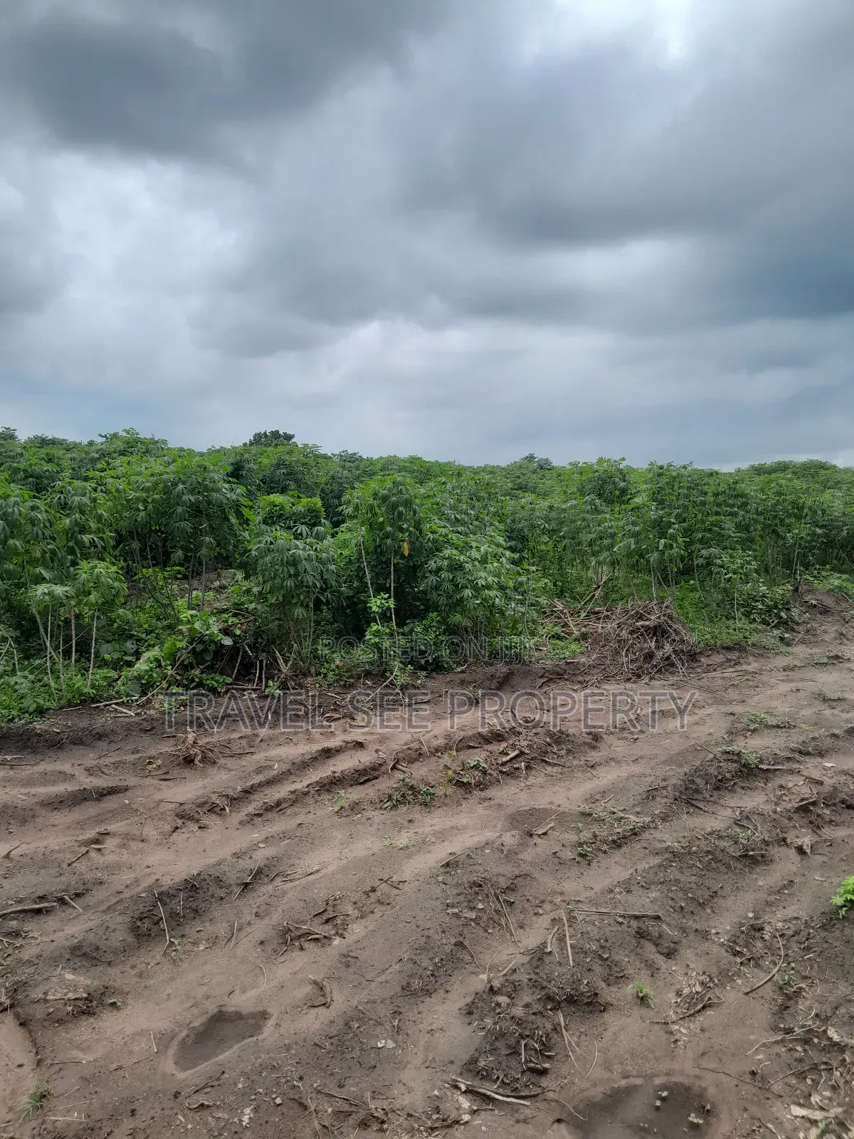 Land's Survey Epe Ijebu Ode Express Ways