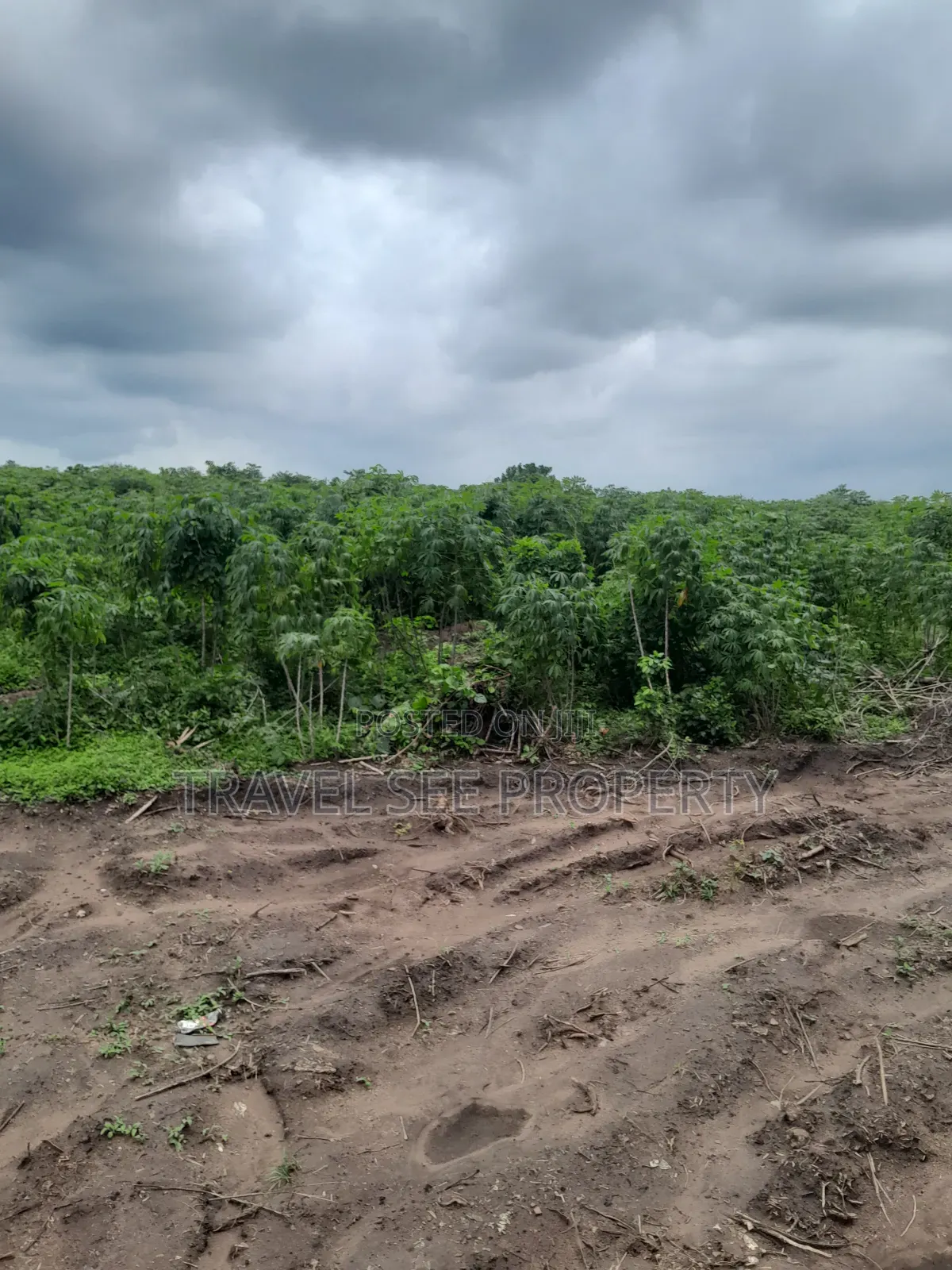Land's Survey Epe Ijebu Ode Express Ways