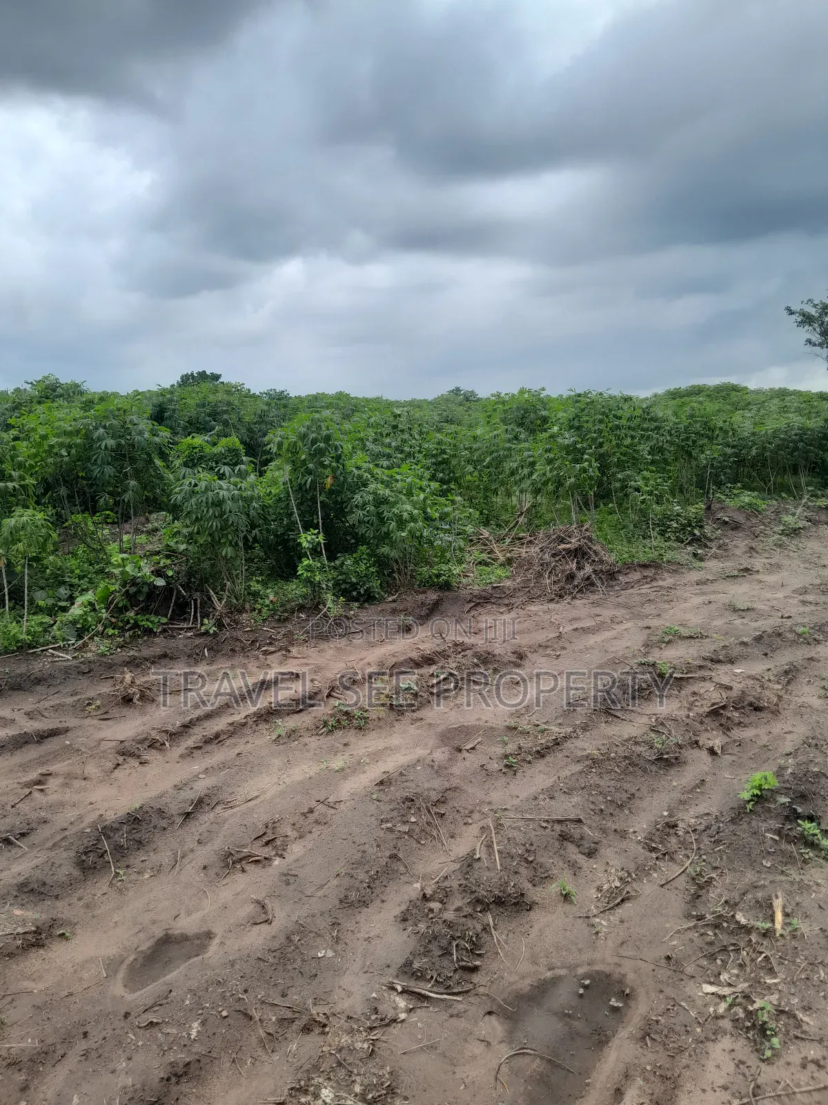 Land's Survey Epe Ijebu Ode Express Ways