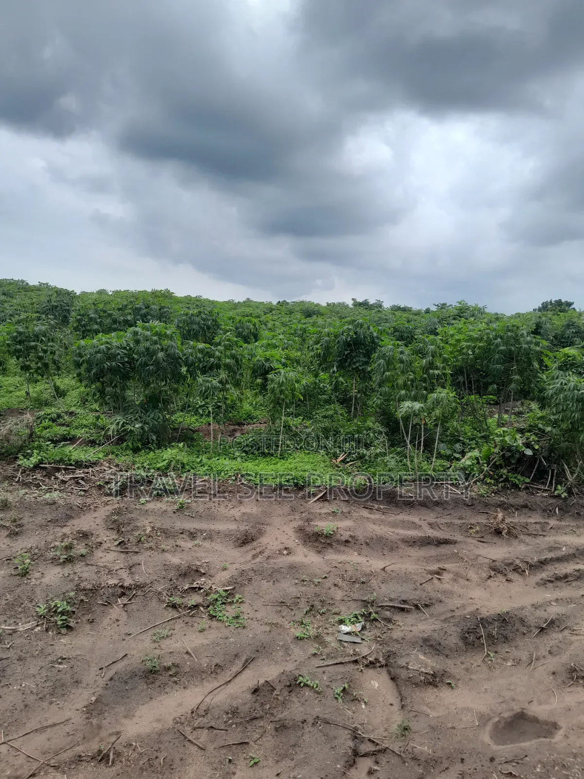 Land's Survey Epe Ijebu Ode Express Ways