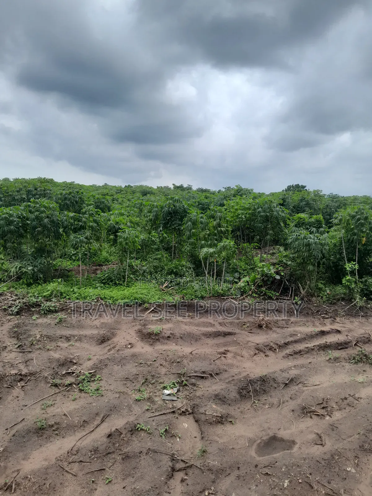 Land's Survey Epe Ijebu Ode Express Ways