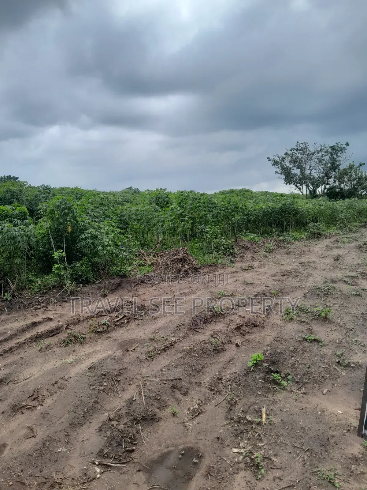 Land's Survey Epe Ijebu Ode Express Ways